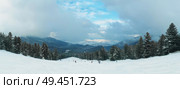 Fir forest panorama with tall trees covered by snow growing along snowy ski slope of the Pirin mountain with foggy clouds in Bansko, Bulgaria. Стоковое фото, агентство Ingram Publishing / Фотобанк Лори