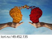Two hands holding rose petal heads on blu sky background. Romantic relationship concept. Attachment and love symbol, giving and exchange of feelings and emotions. Thinking exchange and idea partnership business. Стоковое фото, агентство Ingram Publishing / Фотобанк Лори