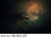 Majestic deer with blue glowing eyes and long horns guard the dark forest with a lot of fireflies and sparkles. Mystic wild scene screen saver. Стоковое фото, агентство Ingram Publishing / Фотобанк Лори