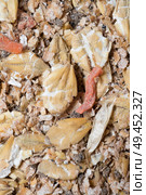  natural  muesli  background with barley and carrot. for horse. extrime macro. Стоковое фото, агентство Ingram Publishing / Фотобанк Лори