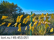 Yellow ribbon ties in Catalonia protest against political prisoners sign. Стоковое фото, агентство Ingram Publishing / Фотобанк Лори