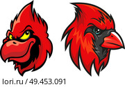 Red cardinal bird. Стоковая иллюстрация, иллюстратор VectorTradition / Фотобанк Лори