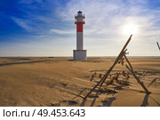 Delta del Ebro Ebre beach Punta del Fangar in Tarragona Costa Dorada Deltebre. Стоковое фото, агентство Ingram Publishing / Фотобанк Лори