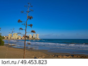 Oropesa de Mar beach La Concha playa in Castellon of Spain. Стоковое фото, агентство Ingram Publishing / Фотобанк Лори