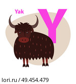 Children ABC with cute animal cartoon vector. English letter Y with funny Yak flat illustration isolated on white background. Zoo alphabet with mammal and caption for preschool education, kids books. Zoo ABC Letter with Cute Yak Cartoon Vector. Стоковая иллюстрация, агентство Ingram Publishing / Фотобанк Лори