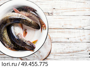 Two raw pike with spices in a bowl.Raw fish with spices for cooking.. Fish pike on the kitchen board. Стоковое фото, агентство Ingram Publishing / Фотобанк Лори