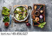 Fresh salad plate with mixed greens.Rhubarb salad.Vegetarian spring salad. Spring vegetable salad. Стоковое фото, агентство Ingram Publishing / Фотобанк Лори
