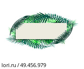 Blank banner long palm leaves and space for header. Tropical leaf on empty poster. Framer with tropic exotic plants vector illustration isolated. Blank Banner with Palm Leaves and Space for Header. Стоковая иллюстрация, агентство Ingram Publishing / Фотобанк Лори