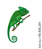 Lizard sitting on wooden branch, domestic pet of green color with long tail, lacertian reptile with rough, scaly, or spiny green skin vector isolated. Lizard Sitting on Branch, Vector Illustration. Стоковая иллюстрация, агентство Ingram Publishing / Фотобанк Лори