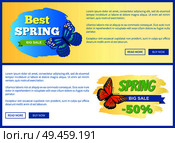 Best choice big spring sale labels on online horizontal posters with butterflies, moths vector voucher advertisement stickers with tag, add your text. Best Choice Spring Sale Labels Posters Butterfly. Стоковая иллюстрация, агентство Ingram Publishing / Фотобанк Лори