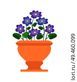 Chionodoxa pot with flowers, house plant blue flourishing buds in bloom, yellow vase and houseplant blossom isolated on vector illustration. Chionodoxa Pot with Flowers Vector Illustration. Стоковая иллюстрация, агентство Ingram Publishing / Фотобанк Лори