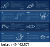 Lobster and bass fish posters set with headlines. Marine life and unprepared food ingredients. Clam and octopus, eel and shrimp vector illustration. Lobster Bass Fish Posters Set Vector Illustration. Стоковая иллюстрация, агентство Ingram Publishing / Фотобанк Лори