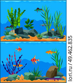 Fish underwater seascape set. School of fish with non-flowering plants seaweed with aquatic animals. Exotic biodiversity diversity vector illustration. Fish Underwater Scape Set Vector Illustration. Стоковая иллюстрация, агентство Ingram Publishing / Фотобанк Лори