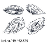 Vector hand drawn monochrome seafood edible shellfish mussel and oyster illustration. Cockleshell icon set for nautical promo poster in sketch style.. Cockleshell Icon Set for Nautical Promo Poster. Стоковая иллюстрация, агентство Ingram Publishing / Фотобанк Лори