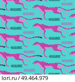 Seamless pattern with running cheetahs, leopards. Repeated exotic wild pink cats on a turquoise background. Vector illustration.. Seamless pattern with running cheetahs, leopards. Repeated exotic wild pink cats on a turquoise background. Vector illustration. Стоковая иллюстрация, агентство Ingram Publishing / Фотобанк Лори
