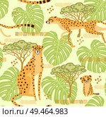 Seamless pattern with cheetahs, leopards in the jungle. Repeated exotic wild cats in the background of the savannah. Vector stylized travel illustration.. Seamless pattern with cheetahs, leopards in the jungle. Repeated exotic wild cats in the background of the savannah. Vector stylized travel illustration. Стоковая иллюстрация, агентство Ingram Publishing / Фотобанк Лори