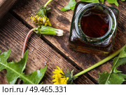 Herbal alternative medicine.Medicinal plant dandelion or Taraxacum officinale.Dandelion leaves.. Dandelion tincture in bottle. Стоковое фото, агентство Ingram Publishing / Фотобанк Лори