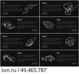 Eel and octopus marine dwellers set. Species with shells sea and ocean animals. Posters presenting shrimp bass and mussels scallop vector illustration. Eel and Octopus Marine Set Vector Illustration. Стоковая иллюстрация, агентство Ingram Publishing / Фотобанк Лори