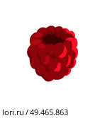 Fresh forest small rich crimson berry applique isolated. Flat pastel raspberry without fruit-stalk depiction as cartoonish material illustration.. Flat Cartoon Small Rich Forest Raspberry Cutout. Стоковая иллюстрация, агентство Ingram Publishing / Фотобанк Лори
