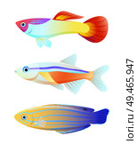 Aquarium fish silhouette isolated on white icons. Freshwater animals guppy and neon tetra, blue striped tamarin wrasse cartoon vector illustration. Aquarium fish silhouette isolated on white icons. Стоковая иллюстрация, агентство Ingram Publishing / Фотобанк Лори