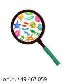 Bacteria and microbe or virus microorganisms through magnifying glass. Vector fancy shaped germ microscopic life creatures zoomed with loupe poster.. Germ Microscopic Life Creatures Zoomed with Loupe. Стоковая иллюстрация, агентство Ingram Publishing / Фотобанк Лори