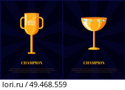 Champion prize gold cup with handle or shiny diamonds flat vector illustration. Triumph souvenir depiction on dark blue radiant background with text.. Champion Gold Award on Radiant Background Poster. Стоковая иллюстрация, агентство Ingram Publishing / Фотобанк Лори