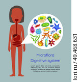 Microflora digestive system poster and text sample. Human body with microorganisms inside of bowel. Intestinal germs colon cells and bacteria vector. Microflora Digestive System Vector Illustration. Стоковая иллюстрация, агентство Ingram Publishing / Фотобанк Лори