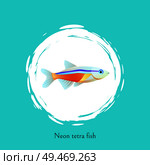 Neon tetra fish in white circle isolated on blue. Freshwater aquarium fish silhouette icon on double color background cartoon vector illustration. Neon Tetra Fish in White Circle Isolated on Blue. Стоковая иллюстрация, агентство Ingram Publishing / Фотобанк Лори