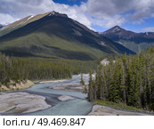 River passing through landscape, with mountains in the background, North Saskatchewan River, Icefields Parkway, Jasper, Alberta, Canada. Стоковое фото, агентство Ingram Publishing / Фотобанк Лори
