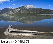 Driftwood at lakeside with mountain reflected in Jasper Lake, Yellowhead Highway, Jasper National Park, Jasper, Alberta, Canada. Стоковое фото, агентство Ingram Publishing / Фотобанк Лори
