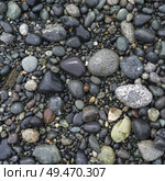 High angle view of pebbles on Spiral Beach, Victoria, British Columbia, Canada. Стоковое фото, агентство Ingram Publishing / Фотобанк Лори