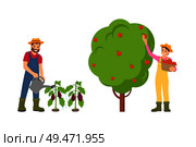 Farmers man and woman on plantation set vector. Female gathering ripe apples from fruit tree, male watering aubergine vegetables on ground with can. Farmers Man and Woman Set Vector Illustration. Стоковая иллюстрация, агентство Ingram Publishing / Фотобанк Лори