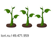 Set of isolated green plants in garden beds in cartoon style. Young sprouts with stalks and leaves growing in ground, simple emblem farming theme. Green Plants in Garden Beds Set Cartoon Style. Стоковая иллюстрация, агентство Ingram Publishing / Фотобанк Лори