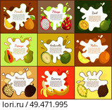 Pomelo and pitaya posters set with text sample. Marang and tropical fruit slices. Cupuacu and bael, banana and ambarella, sweet papaya food vector. Pomelo and Pitaya Posters Set Vector Illustration. Стоковая иллюстрация, агентство Ingram Publishing / Фотобанк Лори