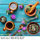 Herbal tea.Medical plants flowers.Milk thistle or Silybum marianum. Herbal tea wih milk thistle. Стоковое фото, агентство Ingram Publishing / Фотобанк Лори