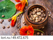 Nasturtium as a medicinal and spicy-flavored plant.Seeds,leaves and flowers of nasturtium.Herbal medicine.. Seeds, and flowers of nasturtium. Стоковое фото, агентство Ingram Publishing / Фотобанк Лори