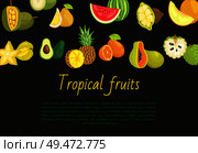 Tropical fruits banner with exotic food. Jackfruit and pomelo, watermelon and cupuacu, melon and carambola, avocado and pineaple, kumquat and sugar apple.. Tropical Fruits Banner with Exotic Food Jackfruit. Стоковая иллюстрация, агентство Ingram Publishing / Фотобанк Лори