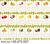 Pomelo and longan, coconut and citron, passion fruit and mango slice. Carambola and cupuacu, papaya and watermelon, salak and marang posters vector. Pomelo and Longan Posters Vector Illustration. Стоковая иллюстрация, агентство Ingram Publishing / Фотобанк Лори