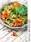Healthy salad with flowers, nasturtium leaves, tomatoes and nuts. Indian salad.Diet food. Salad with vegetables and nasturtium. Стоковое фото, агентство Ingram Publishing / Фотобанк Лори