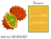 Kiwano exotic juicy fruit whole and cut vector poster frame for text. African horned cucumber or jelly melon, hedged gourd, melano. Tropical edible food. Kiwano Exotic Juicy Fruit Vector Poster Frame Text. Стоковая иллюстрация, агентство Ingram Publishing / Фотобанк Лори