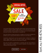 Special offer sale only tomorrow up to fifty percent discount. Promo price 159.90 advertisement autumn poster with orange and yellow leaves, text sample. Special Offer Sale Only Tomorrow Fifty Percent Off. Стоковая иллюстрация, агентство Ingram Publishing / Фотобанк Лори