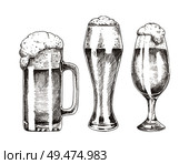 Beer goblets collection isolated on white backdrop, vector illustration of glassy utensil, frothy ale in glossy glasses, kitchenware for alcohol drink. Beer Goblets Collection Isolated on White Backdrop. Стоковая иллюстрация, агентство Ingram Publishing / Фотобанк Лори