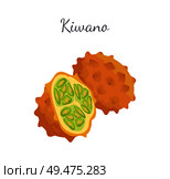 Kiwano exotic juicy fruit whole and cut vector isolated icon. African horned cucumber or jelly melon, hedged gourd, melano. Tropical edible food. Kiwano Exotic Juicy Fruit Vector Isolated Icon. Стоковая иллюстрация, агентство Ingram Publishing / Фотобанк Лори