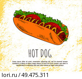 Hot dog icon isolated on bright background banner, vector illustration of delicious bun with sausage smeared with mustard, fresh salad and tomatoes. Hot Dog Icon Isolated on Bright Background Banner. Стоковая иллюстрация, агентство Ingram Publishing / Фотобанк Лори