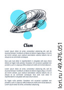 Small clam marine creatures as seafood in sketch style flat vector illustration. Nautical information poster on white and blue spots with text sample.. Small clam Marine Creature Poster in Sketch Style. Стоковая иллюстрация, агентство Ingram Publishing / Фотобанк Лори