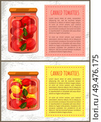 Canned tomatoes food set of posters with editable text. Conservation of vegetables of different types. Dill and leaves accompaniment to pickles vector. Canned Tomatoes Food Set Vector Illustration. Стоковая иллюстрация, агентство Ingram Publishing / Фотобанк Лори