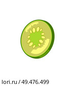 Cucumber slice icon closeup. Salted preserved vegetable sour taste of chopped organic plant. Pickles marinated vegetarian product isolated on vector. Cucumber Slice Icon Closeup Vector Illustration. Стоковая иллюстрация, агентство Ingram Publishing / Фотобанк Лори