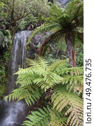 Waterfall at Franz Joseph Glacier. Стоковое фото, агентство Ingram Publishing / Фотобанк Лори