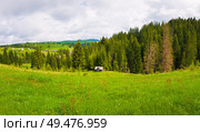 Picturesque spring Carpathians silent scene with a green and lush pasture and old cabins on the valley surrounded by pine woods in Yablunytsya, Ukraine. Стоковое фото, агентство Ingram Publishing / Фотобанк Лори