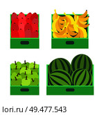 Fruit market with banana and watermelon plastic boxes at market. Banana bunches in container of shop, store with organic healthy products and meal. Fruit Market with Banana and Watermelon Boxes. Стоковая иллюстрация, агентство Ingram Publishing / Фотобанк Лори